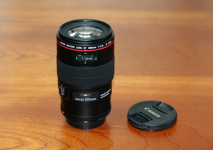Canon 単焦点マクロレンズ EF100mm F2.8 USM フルサイズ対応 マクロ 超安い品質 EF100mm