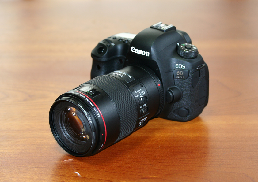 Canon レンズ EF100mm F2.8Lマクロ IS USM