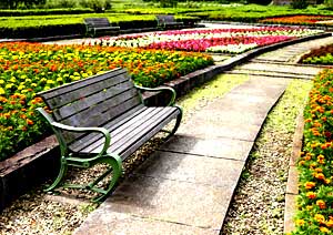 花壇とベンチの風景写真