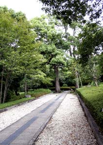 日本庭園で撮影した風景写真