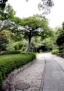 日本庭園で撮影した風景写真